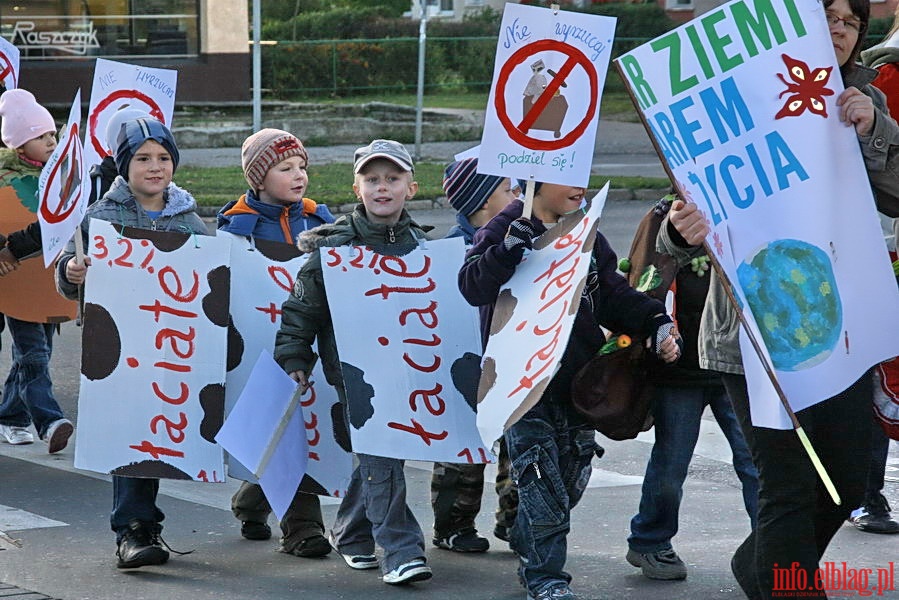 Strajk ywnoci w Elblgu - przemarsz ulicami miasta, fot. 22