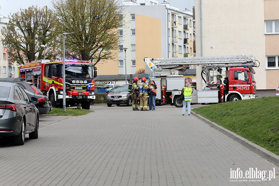 �wiczenia z zakresu ochrony ludno�ci i obrony cywilnej z udzia�em rzeczywistych si� i �rodk�w, fot. 22