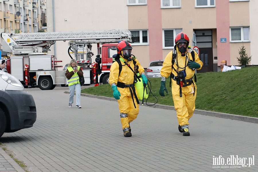 �wiczenia z zakresu ochrony ludno�ci i obrony cywilnej z udzia�em rzeczywistych si� i �rodk�w, fot. 27