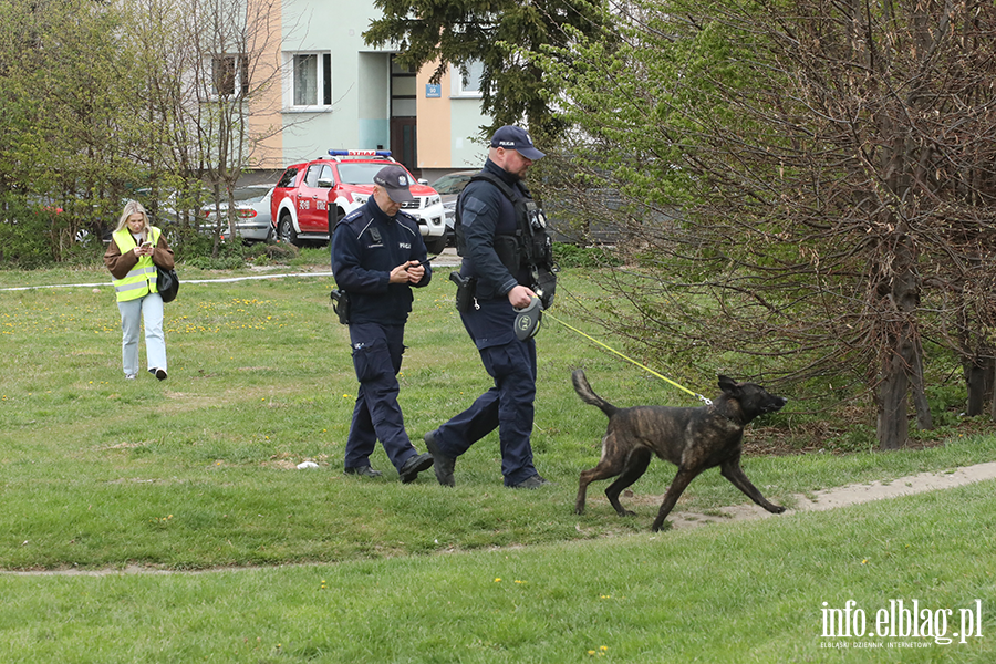 �wiczenia z zakresu ochrony ludno�ci i obrony cywilnej z udzia�em rzeczywistych si� i �rodk�w, fot. 36