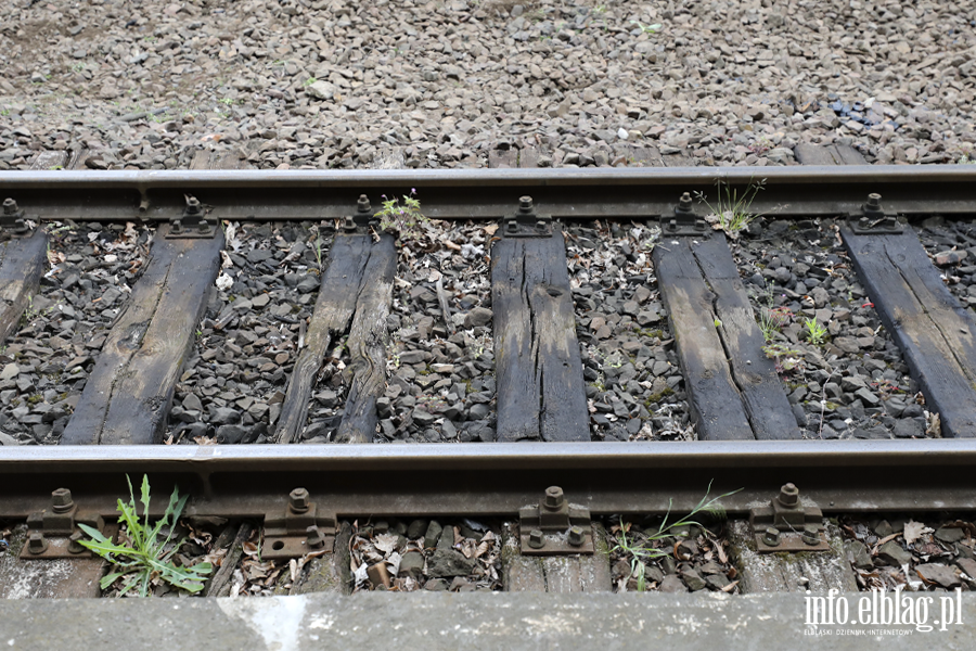 Modernizacja dworca w Pas��ku ruszy ju� niebawem, a co z Elbl�giem? PKP PLK odpowiada, fot. 9