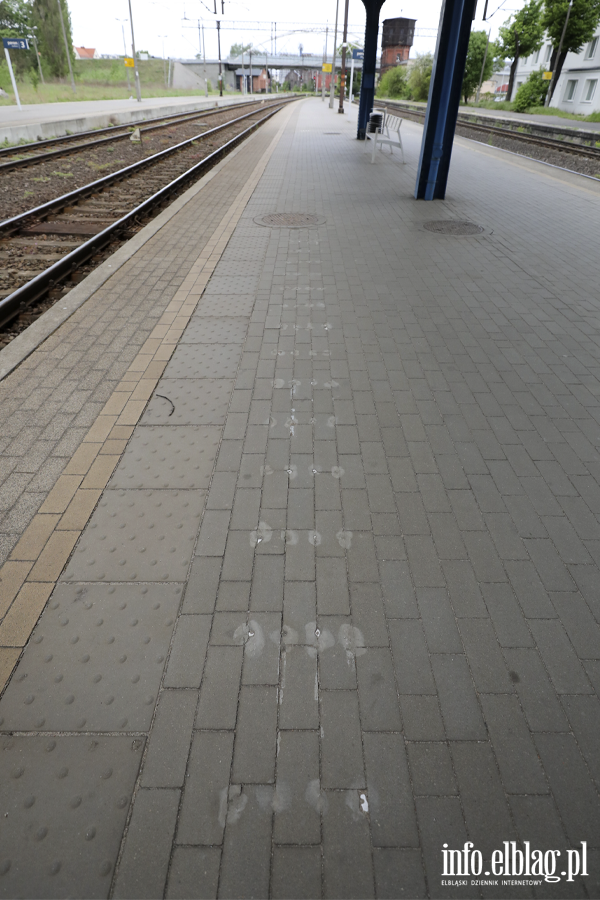 Modernizacja dworca w Pas��ku ruszy ju� niebawem, a co z Elbl�giem? PKP PLK odpowiada, fot. 40