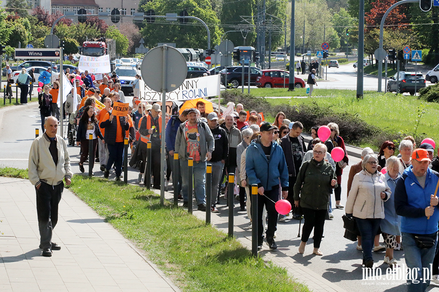 Ulicami Elbl�ga przeszed� kolorowy przemarsz, fot. 30