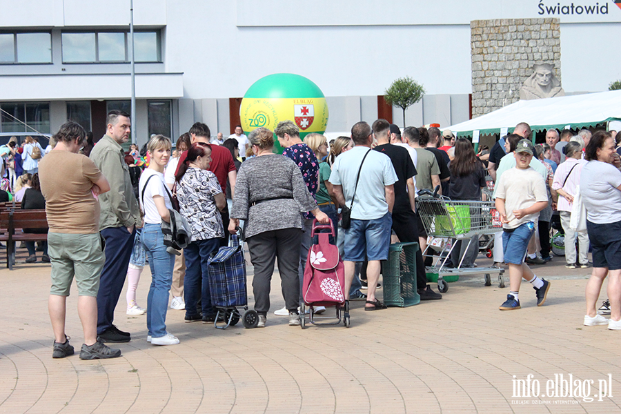 Ekologia w praktyce. Za nami festyn GOZ na Placu Jagiello�czyka, fot. 3