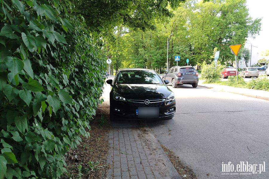 Mistrzowie Parkowania w Elbl�gu (cz�� 475), fot. 8