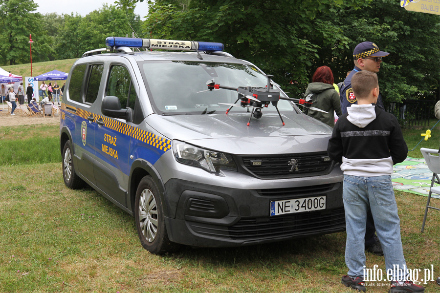 Dzie� Dziecka w Parku Dolinka, fot. 7