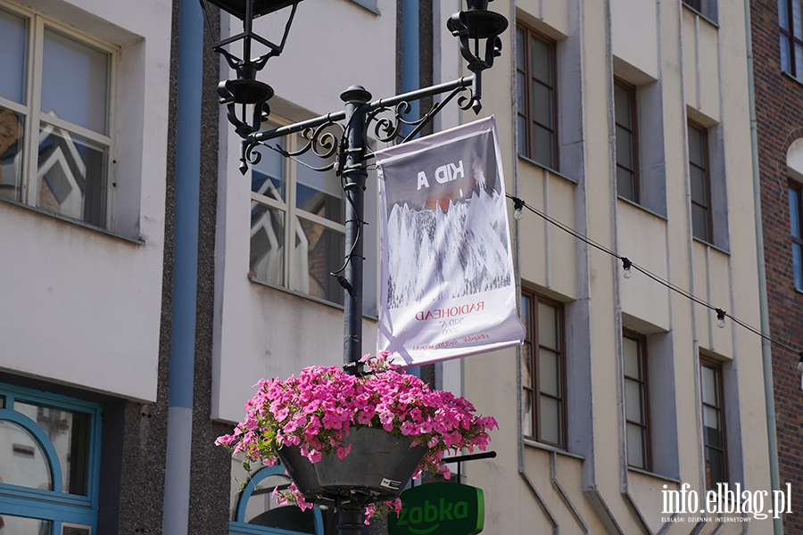 Elbl�skie �wi�to Muzyki trwa, fot. 2