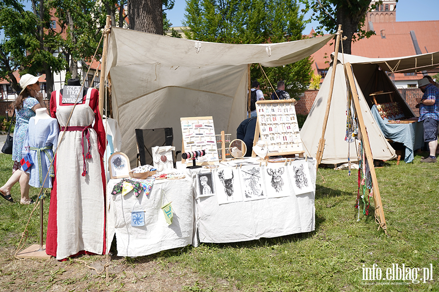 Wiki�ski Festiwal podczas Dni Elbl�ga, fot. 59