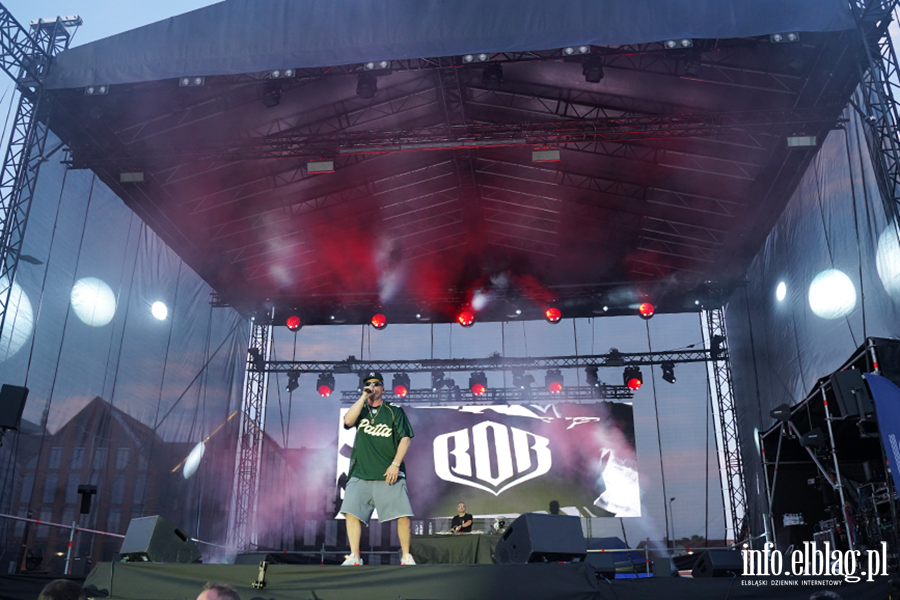 Koncert Palucha podczas Dni Elbl�ga, fot. 25