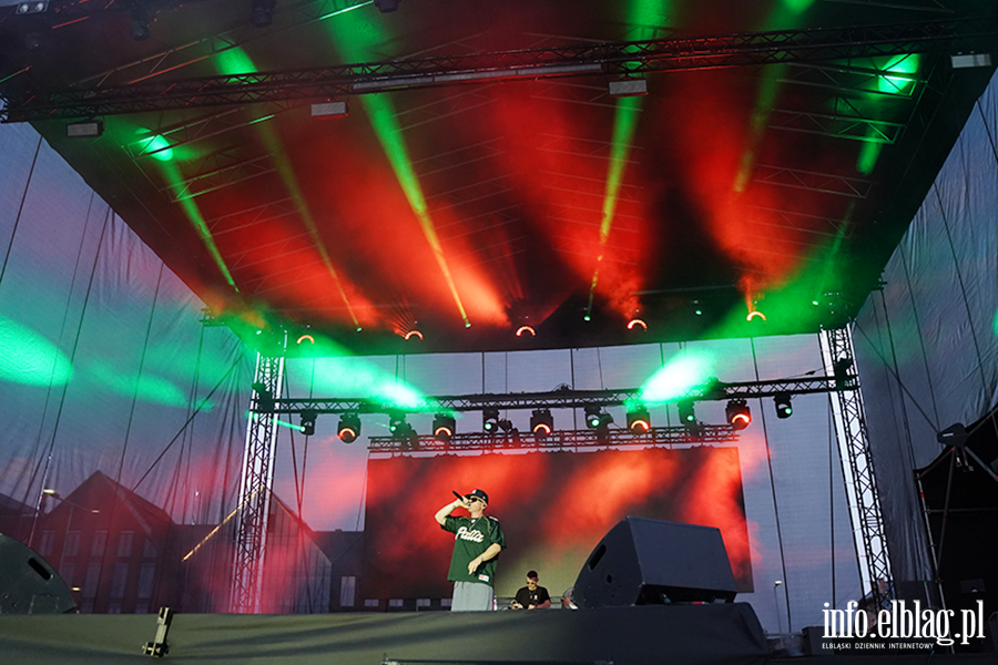Koncert Palucha podczas Dni Elbl�ga, fot. 36