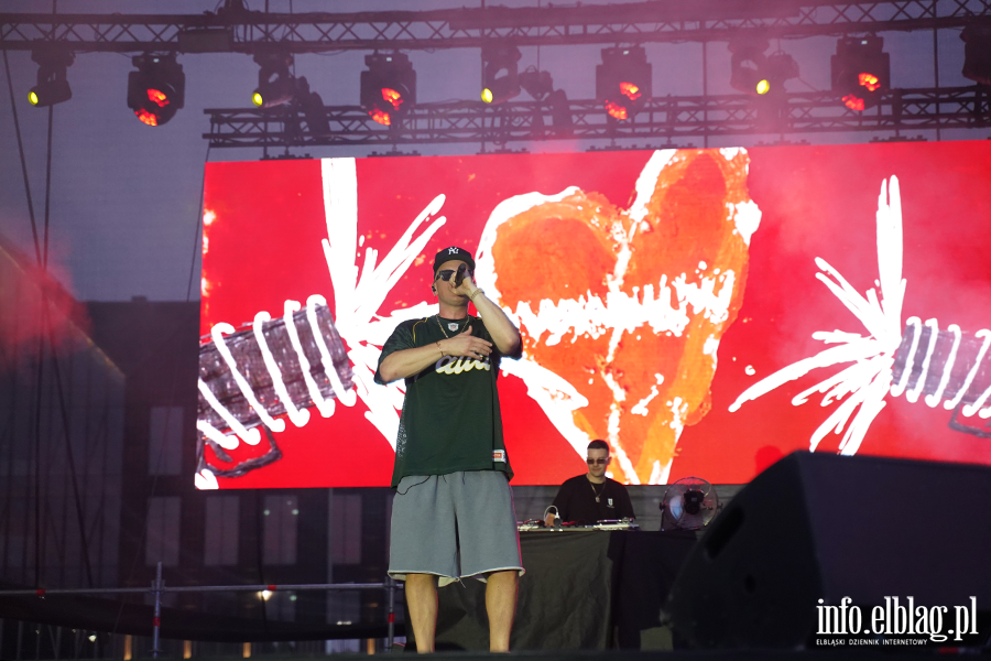 Koncert Palucha podczas Dni Elbl�ga, fot. 40