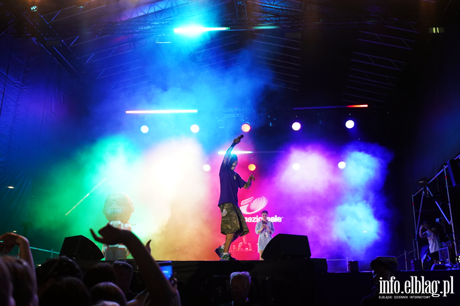 Koncert �absona na fina� Dni Elbl�ga, fot. 13