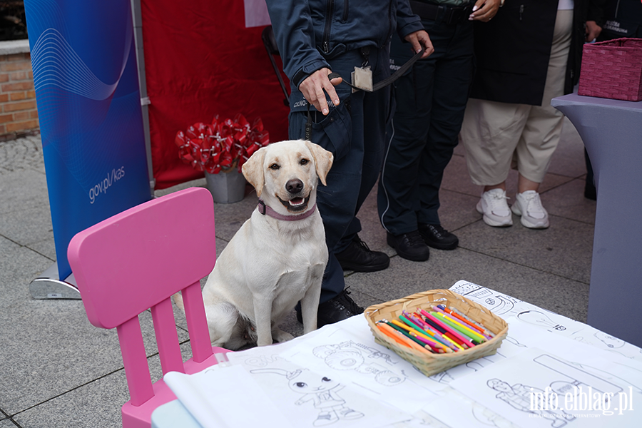�wi�to Policji, fot. 68