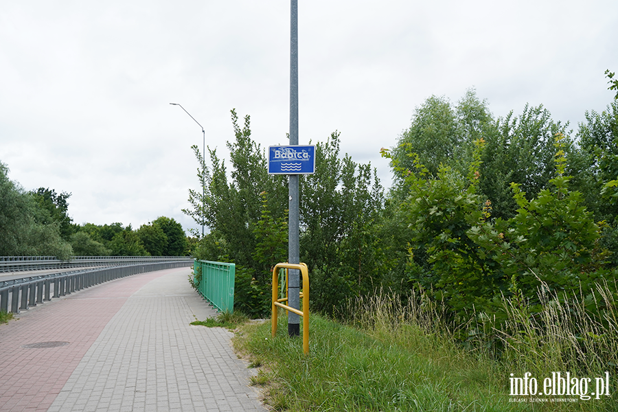 modrzewina, fot. 2