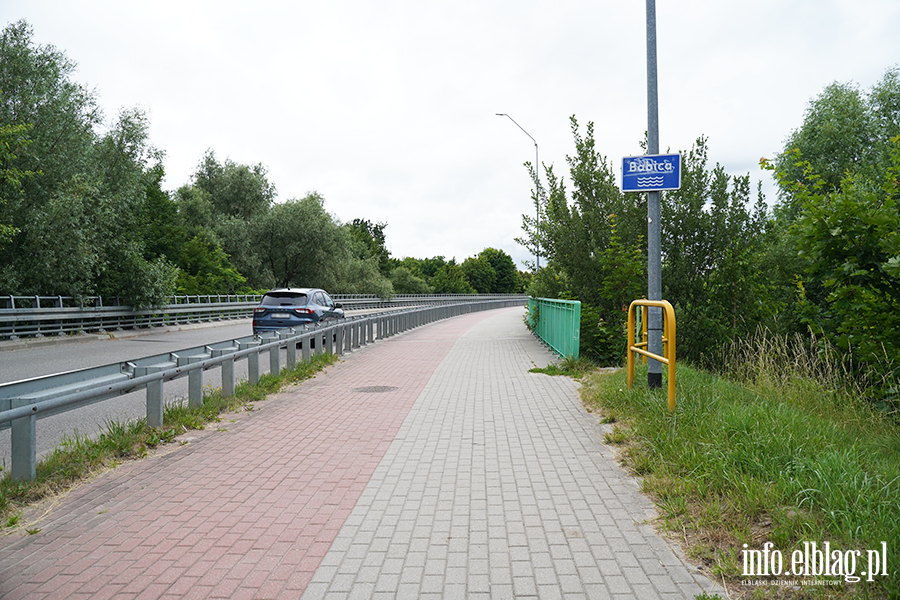 modrzewina, fot. 3