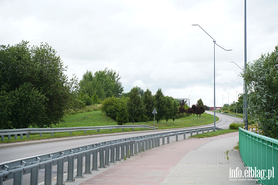 modrzewina, fot. 4