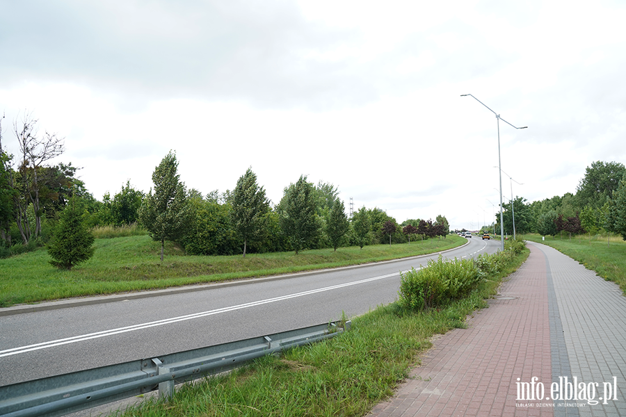 modrzewina, fot. 10