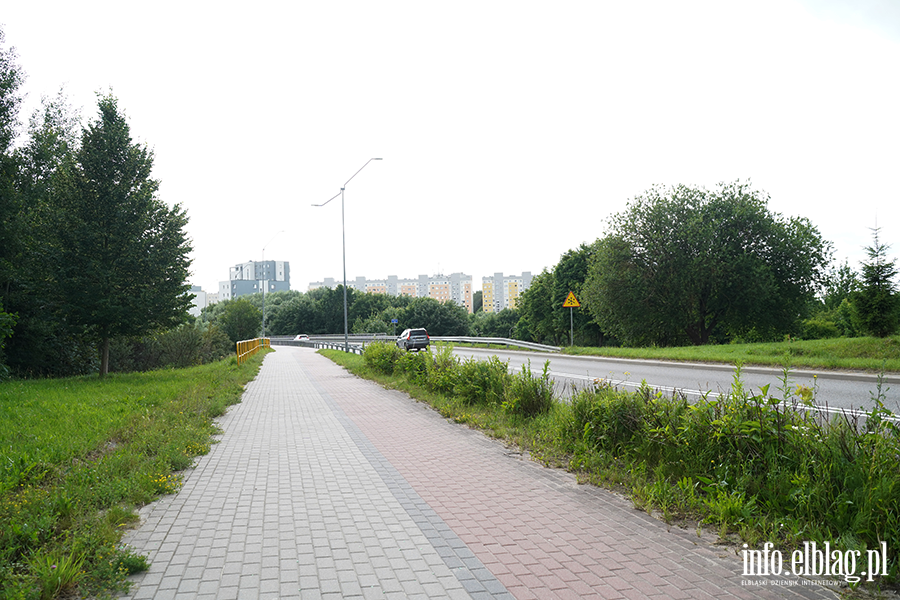 modrzewina, fot. 12