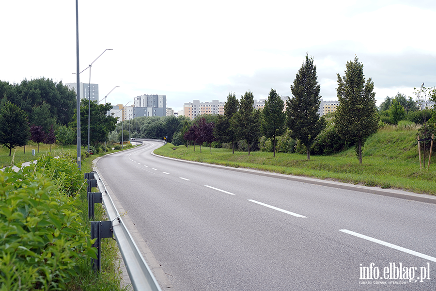 modrzewina, fot. 13