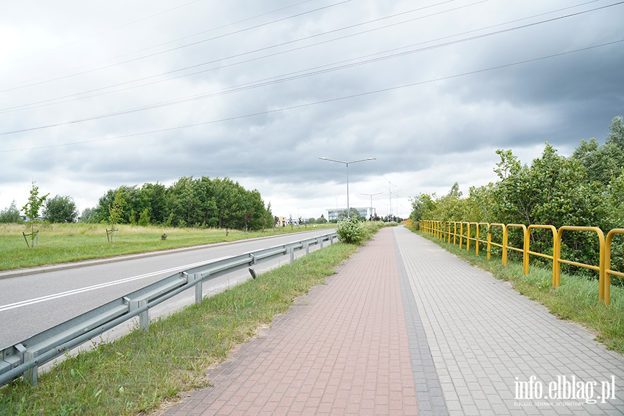 modrzewina, fot. 16