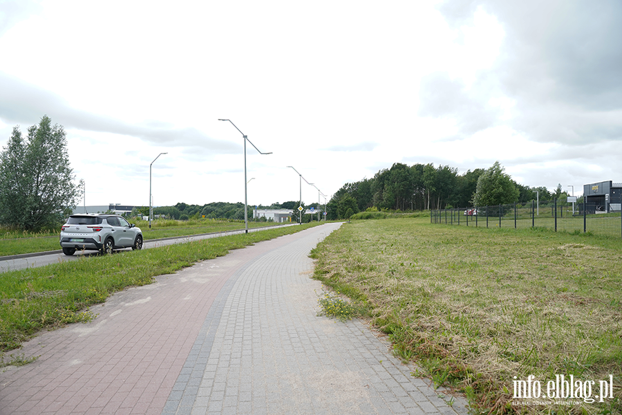 modrzewina, fot. 30