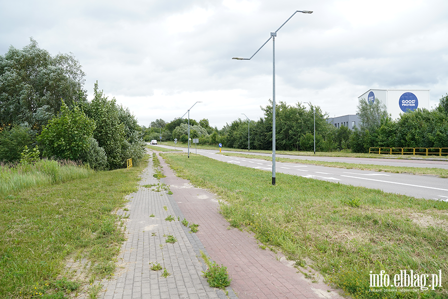 modrzewina, fot. 34