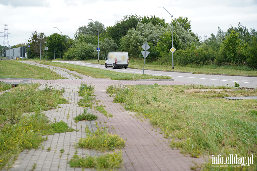 modrzewina, fot. 36