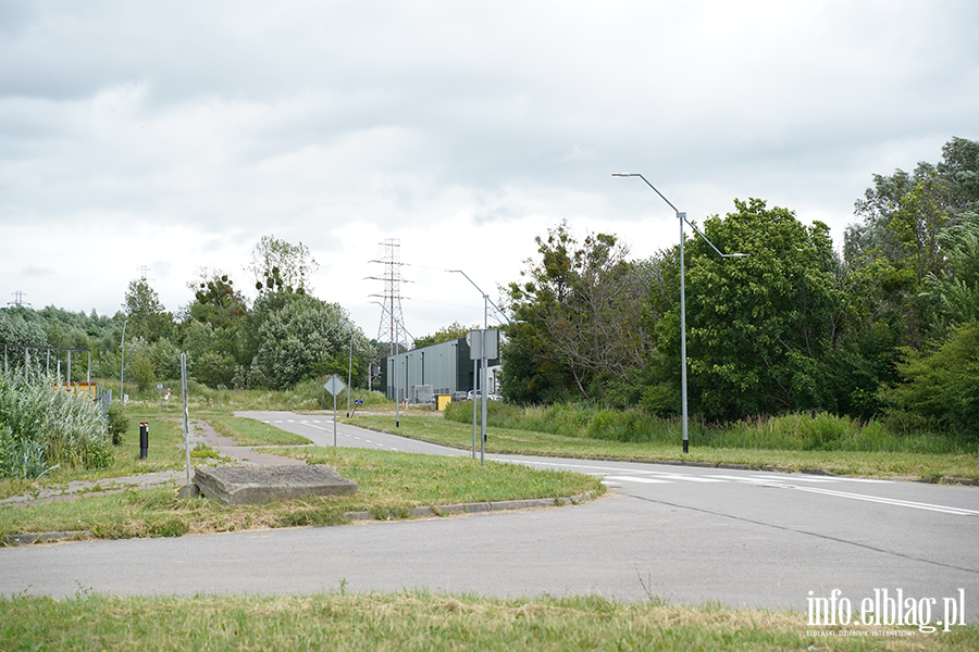 modrzewina, fot. 38
