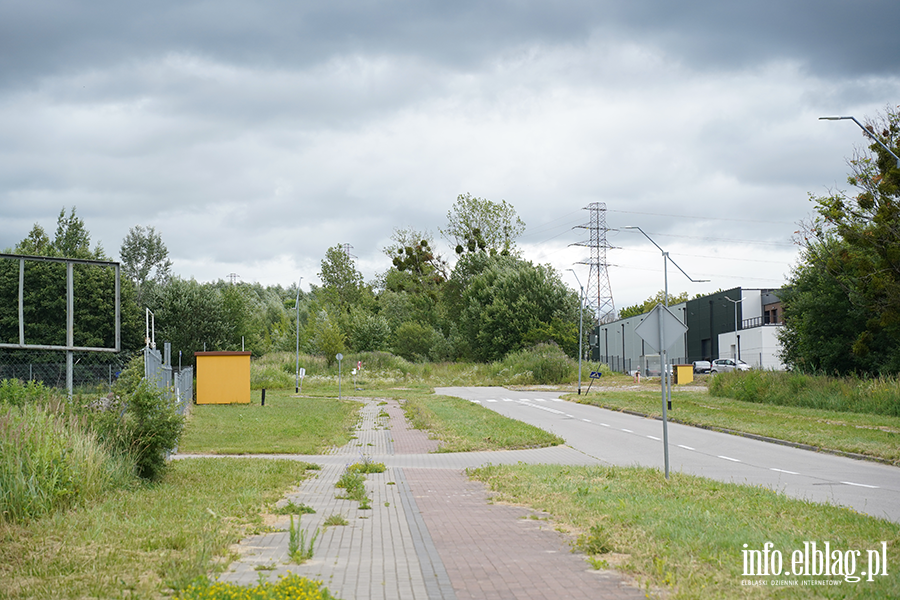 modrzewina, fot. 42