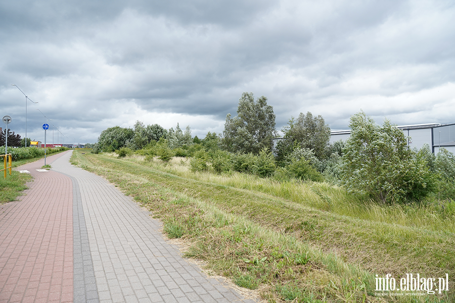 modrzewina, fot. 47