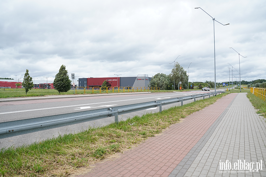 modrzewina, fot. 54
