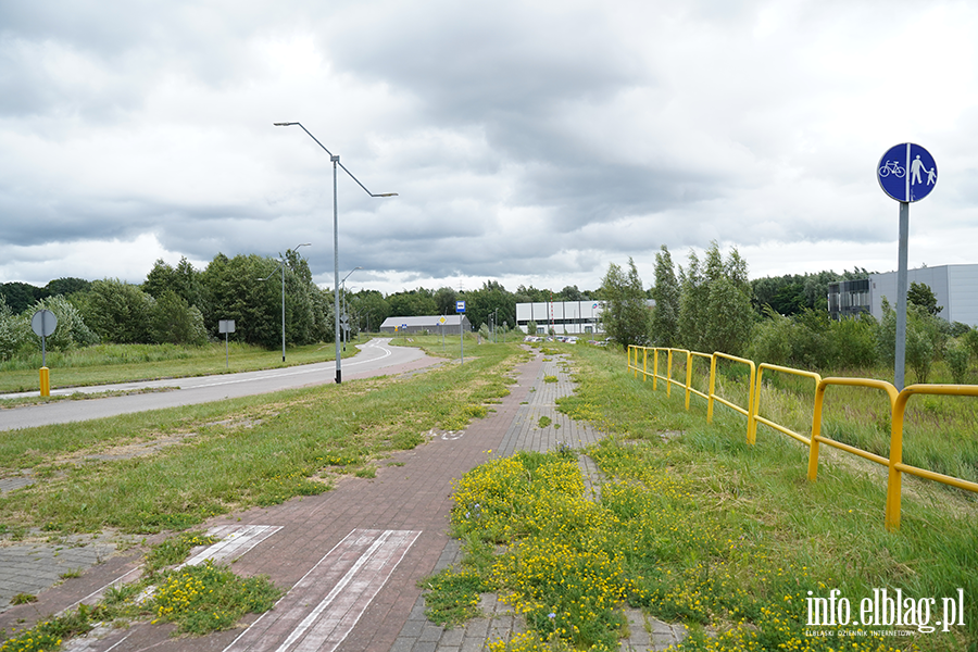 modrzewina, fot. 55