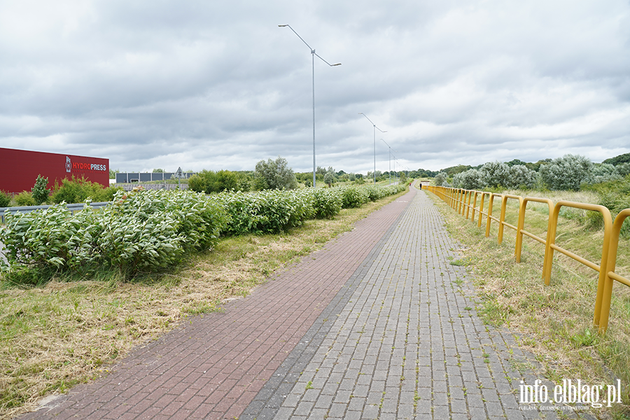 modrzewina, fot. 69