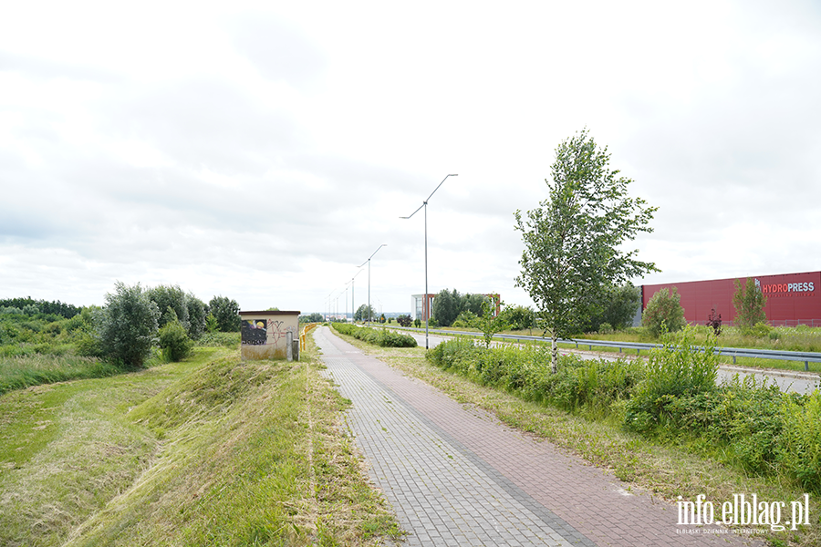 modrzewina, fot. 71
