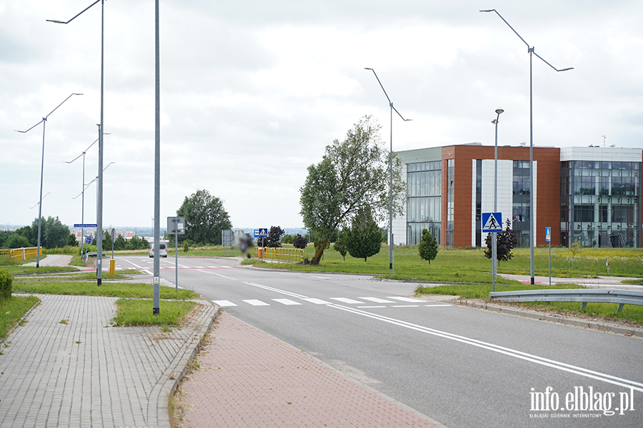 modrzewina, fot. 75