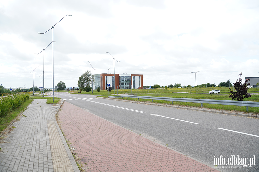 modrzewina, fot. 76