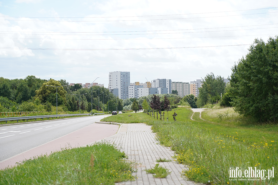 modrzewina, fot. 83