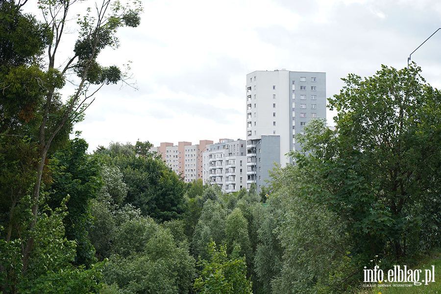 modrzewina, fot. 87