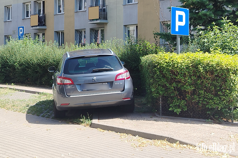 Mistrzowie Parkowania w Elbl�gu (cz�� 486), fot. 11