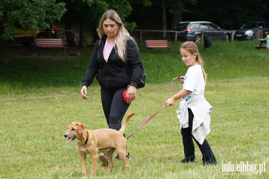 Lipcowy Bieg na 6 �ap, fot. 34