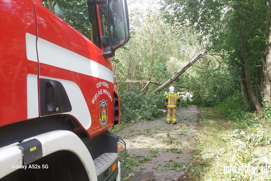 Silny wiatr nie odpuszcza - pracowita �roda braniewskich stra�ak�w, fot. 2