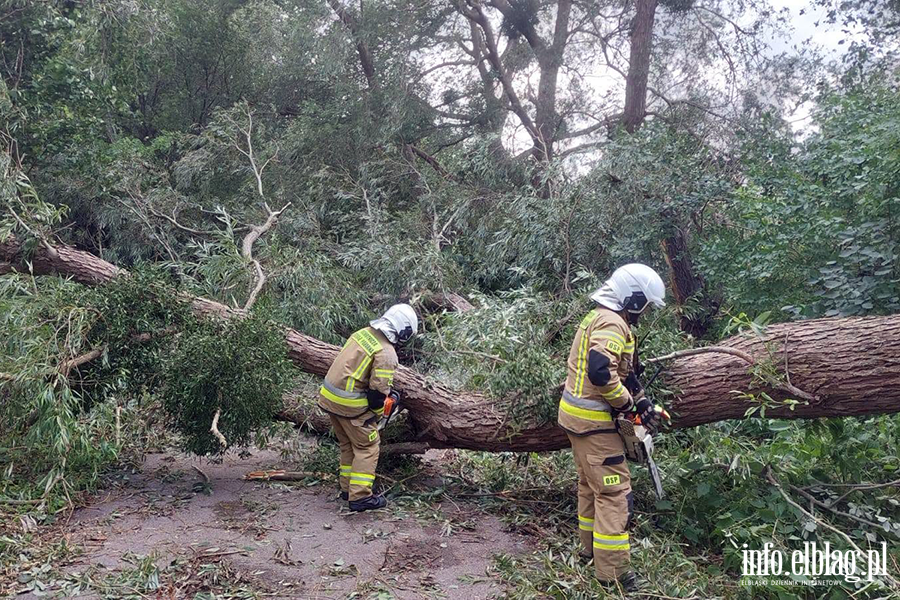 Silny wiatr nie odpuszcza - pracowita �roda braniewskich stra�ak�w, fot. 4