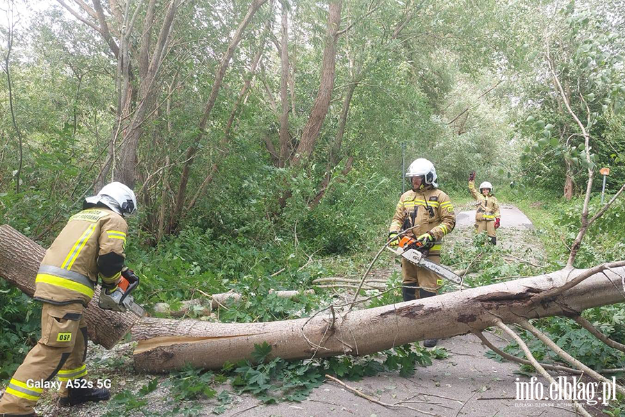 Silny wiatr nie odpuszcza - pracowita �roda braniewskich stra�ak�w, fot. 7