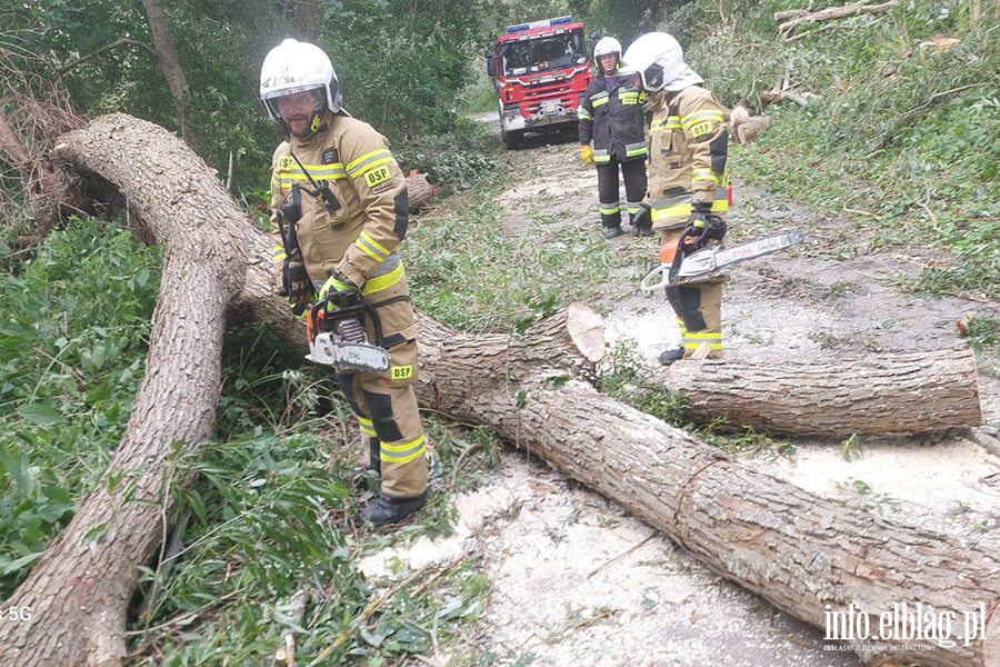Silny wiatr nie odpuszcza - pracowita �roda braniewskich stra�ak�w, fot. 12