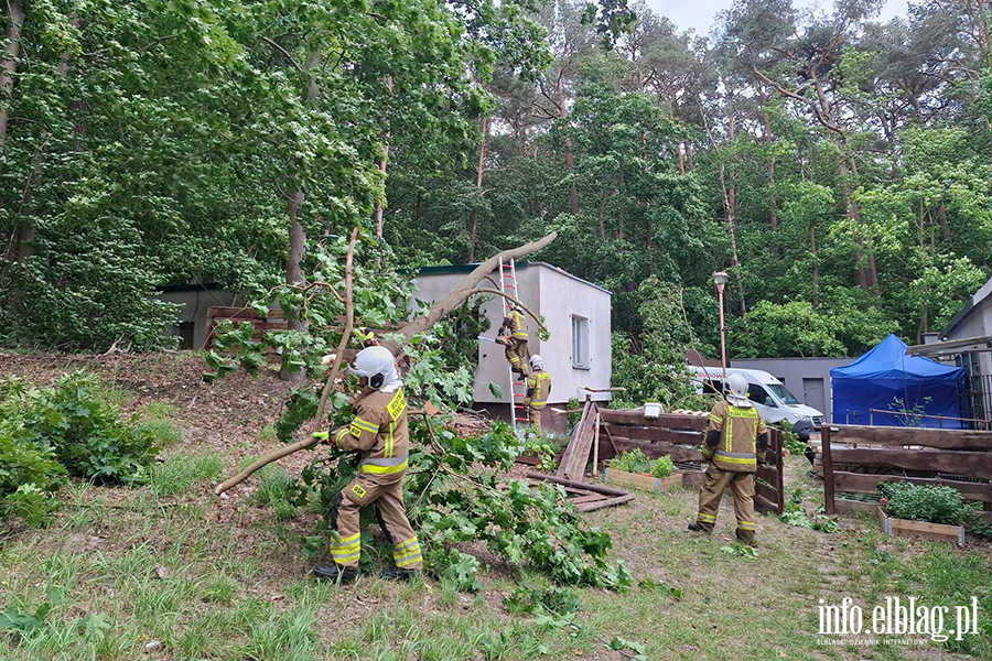Silny wiatr nie odpuszcza - pracowita �roda braniewskich stra�ak�w, fot. 13