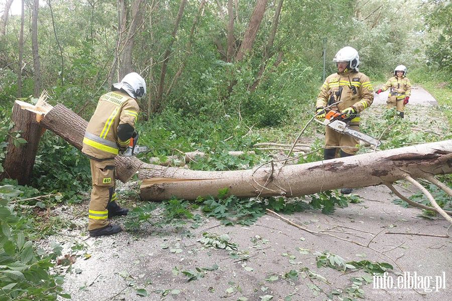Silny wiatr nie odpuszcza - pracowita �roda braniewskich stra�ak�w, fot. 14