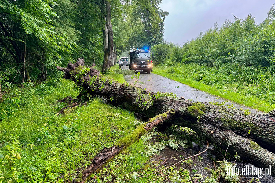 Silny wiatr nie odpuszcza - pracowita �roda braniewskich stra�ak�w, fot. 17