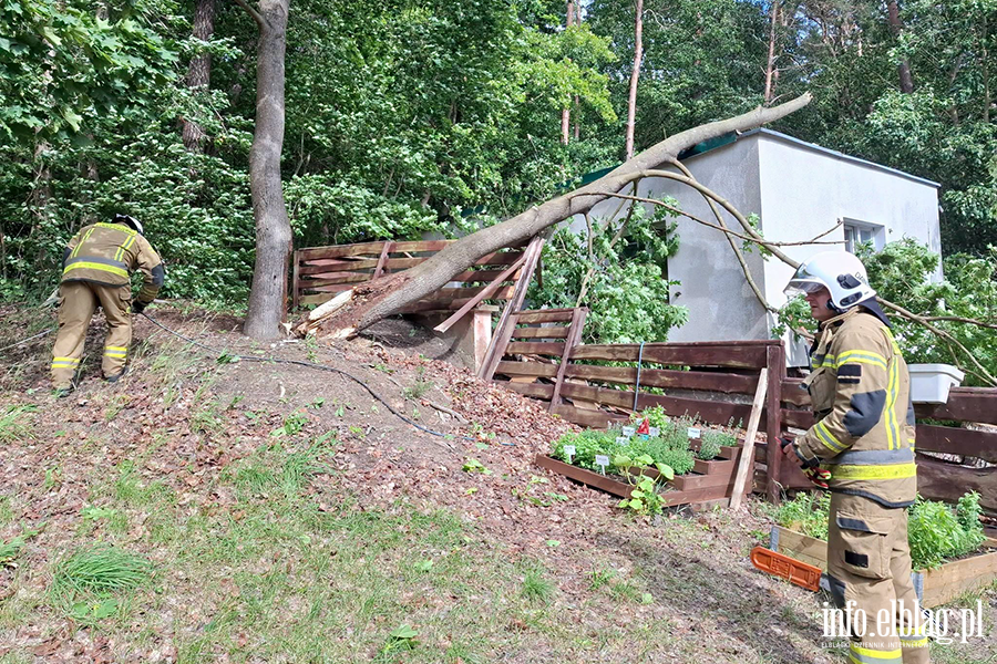 Silny wiatr nie odpuszcza - pracowita �roda braniewskich stra�ak�w, fot. 20