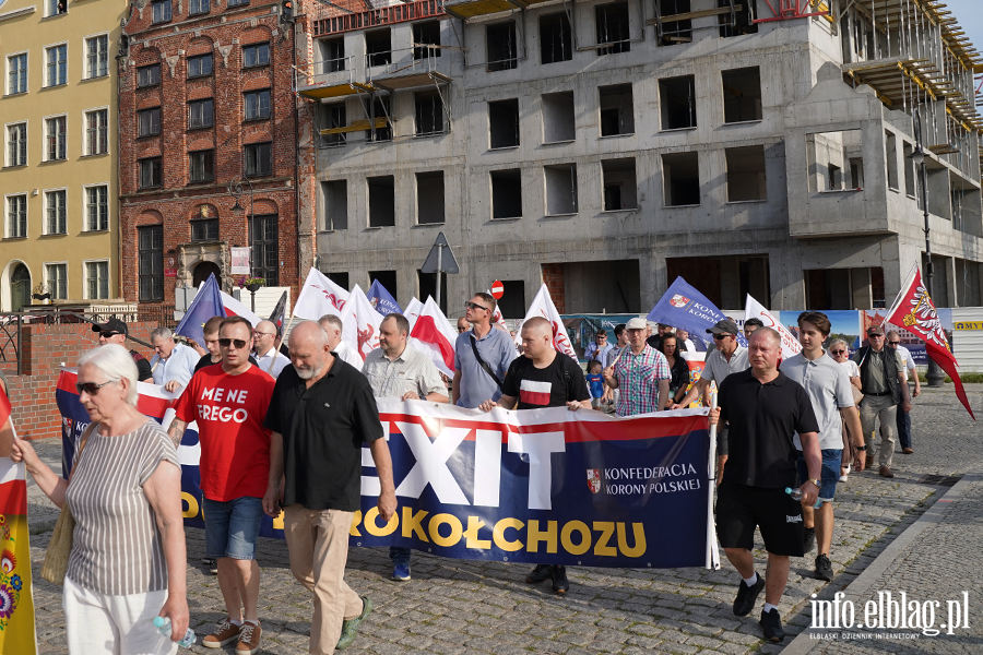 Grzegorz Braun i marsz Polska za Pokojem w Elbl�gu, fot. 50
