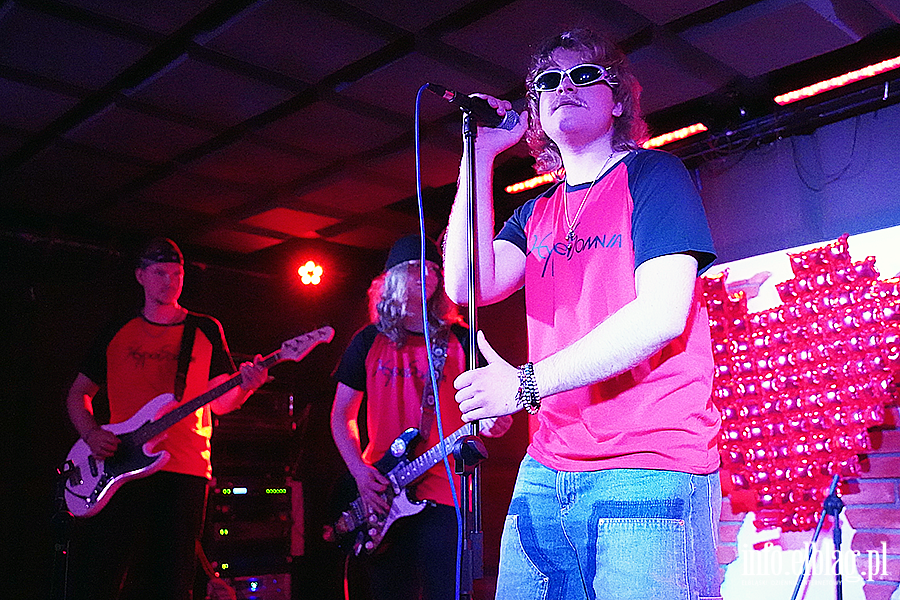 Koncert Charytatywny dla Iwony, fot. 54